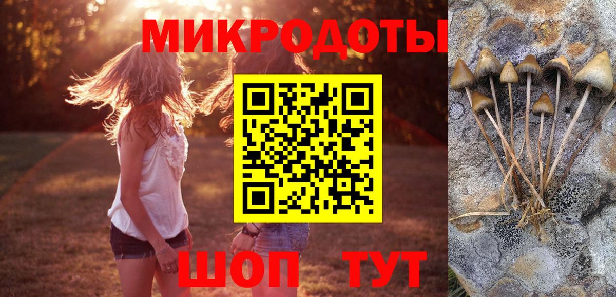 Галлюциногенные грибы ЛСД  Вход с VPN  Зима 