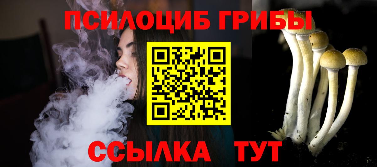Галлюциногенные грибы GOLDEN TEACHER Зима